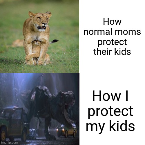 Mom life | How normal moms protect their kids; How I protect my kids | image tagged in funny memes,mom | made w/ Imgflip meme maker