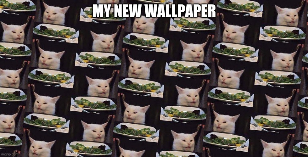 MY NEW WALLPAPER | image tagged in woman yelling at cat,cat | made w/ Imgflip meme maker