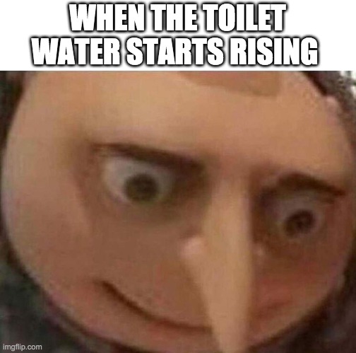 OH POOP | WHEN THE TOILET WATER STARTS RISING | image tagged in gru meme,toilet,memes,funny memes | made w/ Imgflip meme maker