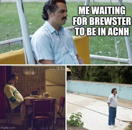 Sad Pablo Escobar Meme | ME WAITING FOR BREWSTER TO BE IN ACNH | image tagged in memes,sad pablo escobar | made w/ Imgflip meme maker