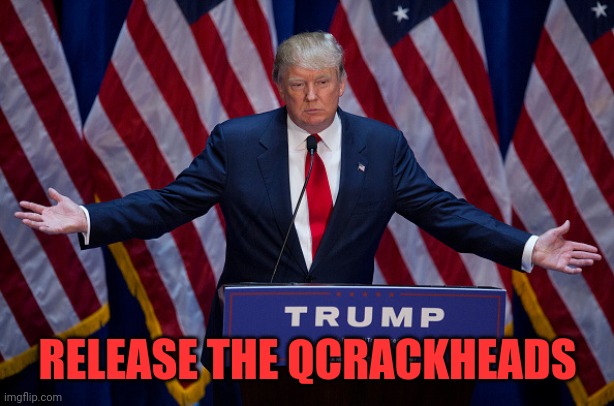 Donald Trump | RELEASE THE QCRACKHEADS | image tagged in donald trump | made w/ Imgflip meme maker