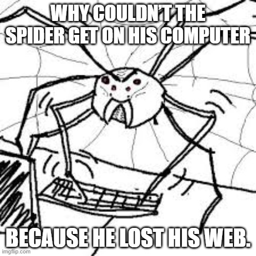 why | WHY COULDN’T THE SPIDER GET ON HIS COMPUTER; BECAUSE HE LOST HIS WEB. | image tagged in spider | made w/ Imgflip meme maker