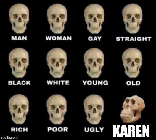 idiot skull | KAREN | image tagged in idiot skull | made w/ Imgflip meme maker