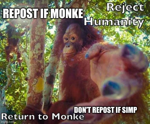 and no, not like sniper monke simp | REPOST IF MONKE; DON'T REPOST IF SIMP | image tagged in return to monke | made w/ Imgflip meme maker