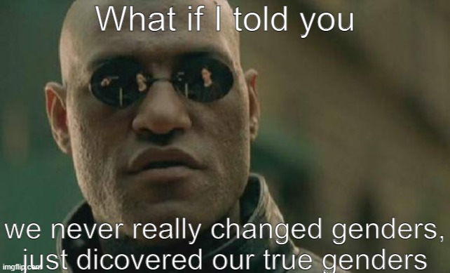 Matrix Morpheus Meme | What if I told you we never really changed genders, just dicovered our true genders | image tagged in memes,matrix morpheus | made w/ Imgflip meme maker