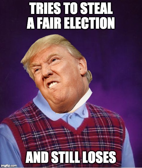 Bad Luck Brian Headless | TRIES TO STEAL A FAIR ELECTION; AND STILL LOSES | image tagged in bad luck brian headless,trump sucks,scumbag republicans | made w/ Imgflip meme maker