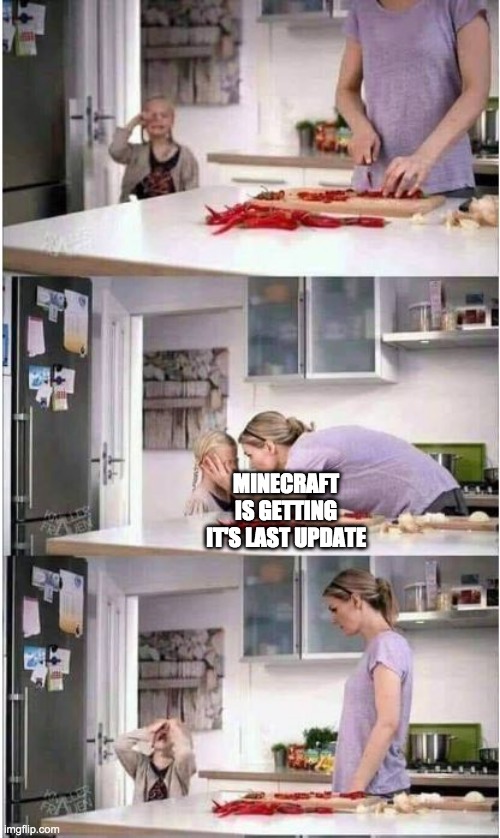Last Update | MINECRAFT IS GETTING IT'S LAST UPDATE | image tagged in mom of the year | made w/ Imgflip meme maker