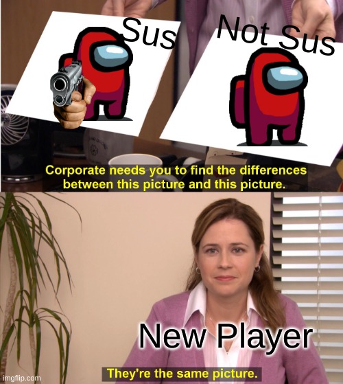 Among us noob | Not Sus; Sus; New Player | image tagged in memes,they're the same picture | made w/ Imgflip meme maker