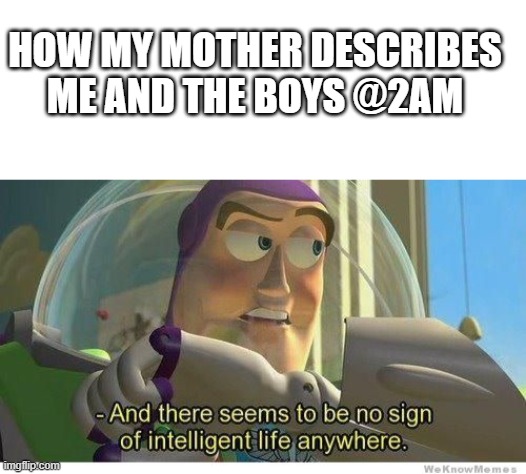 HOW MY MOTHER DESCRIBES ME AND THE BOYS @2AM | image tagged in blank white template,buzz lightyear no intelligent life | made w/ Imgflip meme maker