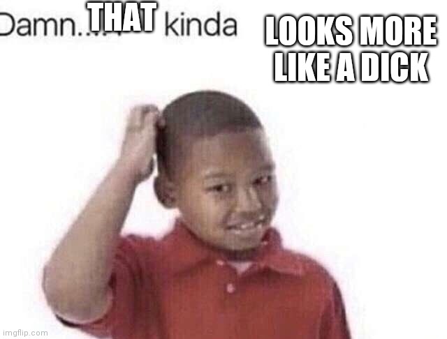 Damn I kinda don’t meme | THAT LOOKS MORE LIKE A DICK | image tagged in damn i kinda don t meme | made w/ Imgflip meme maker