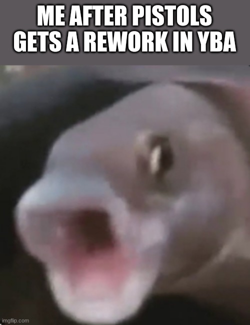 Poggers Fish | ME AFTER PISTOLS GETS A REWORK IN YBA | image tagged in poggers fish | made w/ Imgflip meme maker