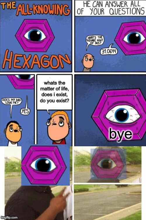 whats the  meaning of life | whats the matter of life, does i exist, do you exist? bye | image tagged in all knowing hexagon original,cara desaparecendo | made w/ Imgflip meme maker