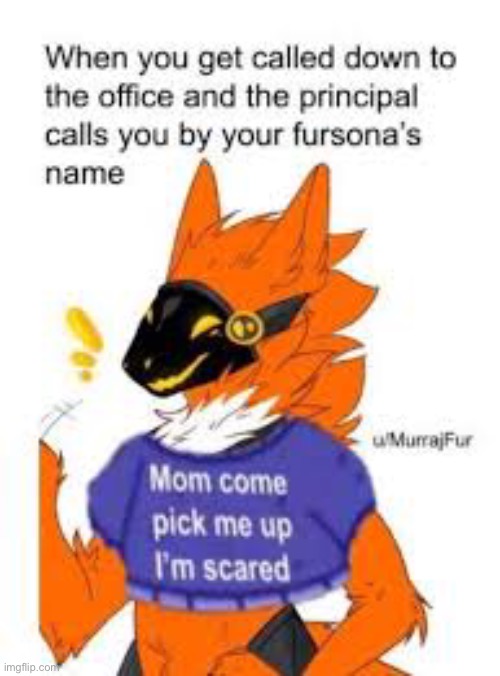 Not my original meme | image tagged in furry | made w/ Imgflip meme maker