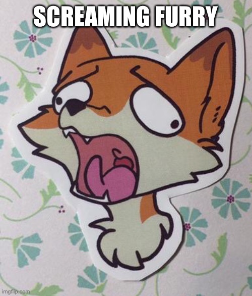Idk at this point | SCREAMING FURRY | image tagged in furry | made w/ Imgflip meme maker