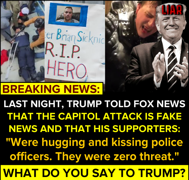 Trump Capitol Hill riot lies Blank Meme Template