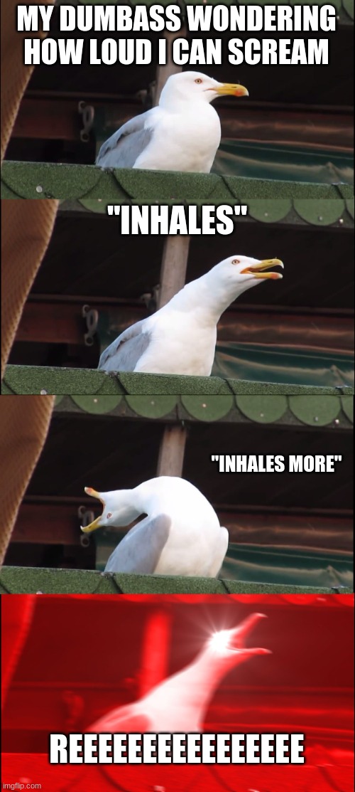 Inhaling Seagull | MY DUMBASS WONDERING HOW LOUD I CAN SCREAM; "INHALES"; "INHALES MORE"; REEEEEEEEEEEEEEEE | image tagged in memes,inhaling seagull | made w/ Imgflip meme maker