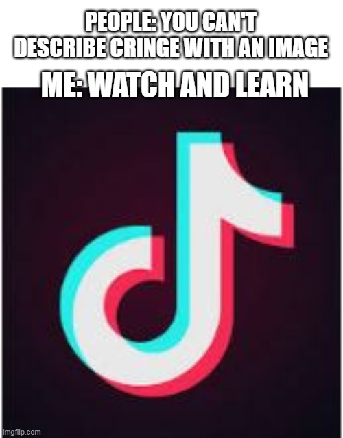 Tik Tok | PEOPLE: YOU CAN'T DESCRIBE CRINGE WITH AN IMAGE; ME: WATCH AND LEARN | image tagged in tik tok | made w/ Imgflip meme maker