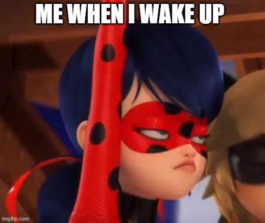 Grumpy Miraculous | ME WHEN I WAKE UP | image tagged in grumpy miraculous | made w/ Imgflip meme maker