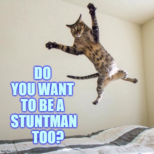 DO YOU WANT TO BE A  STUNTMAN     TOO? | made w/ Imgflip meme maker