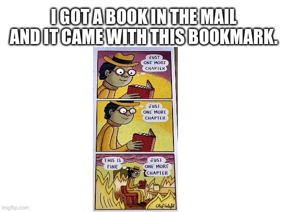 For real I did | I GOT A BOOK IN THE MAIL AND IT CAME WITH THIS BOOKMARK. | image tagged in blank white template,this is fine | made w/ Imgflip meme maker