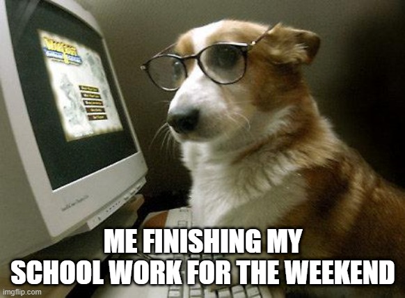 Smart Dog | ME FINISHING MY SCHOOL WORK FOR THE WEEKEND | image tagged in smart dog | made w/ Imgflip meme maker