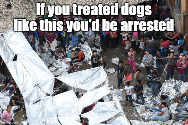 If you treated dogs like this you'd be arrested | image tagged in border | made w/ Imgflip meme maker