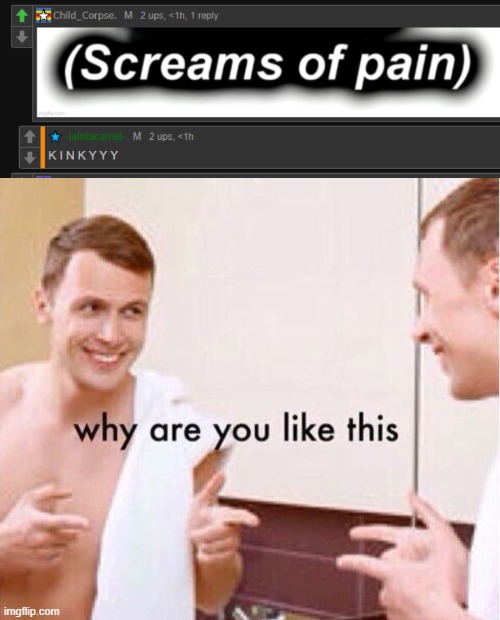 image tagged in why are you like this | made w/ Imgflip meme maker