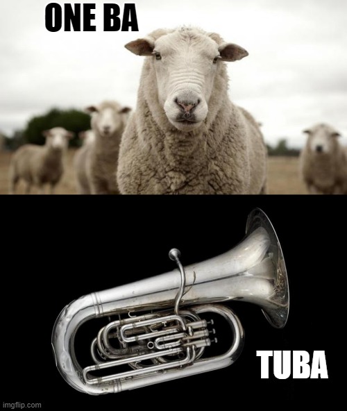 dude | ONE BA; TUBA | image tagged in sheep,tuba,funny memes,memes,meme,bad pun | made w/ Imgflip meme maker