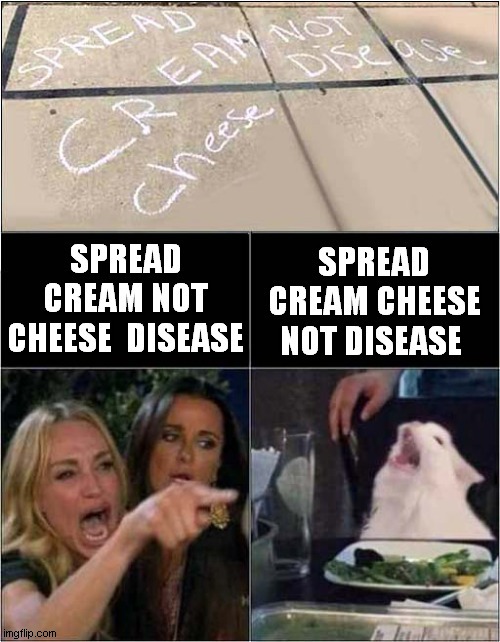 Woman Yelling About Cheese Disease ? | image tagged in woman yelling at cat,cheese,disease | made w/ Imgflip meme maker