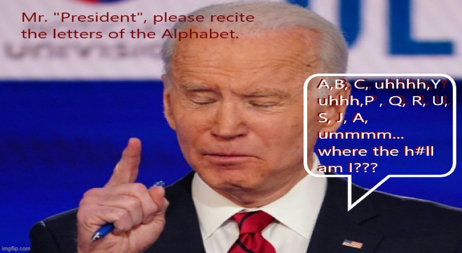 Biden v. Alphabet | image tagged in funny | made w/ Imgflip meme maker