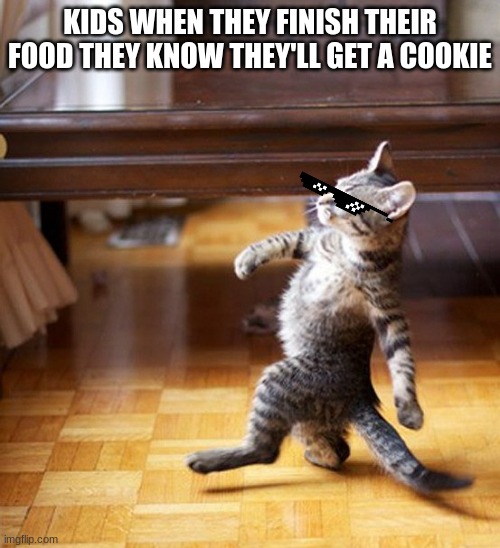 kids after finishing food |  KIDS WHEN THEY FINISH THEIR FOOD THEY KNOW THEY'LL GET A COOKIE | image tagged in cat walking like a boss | made w/ Imgflip meme maker