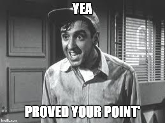 Gomer Pyle | YEA PROVED YOUR POINT' | image tagged in gomer pyle | made w/ Imgflip meme maker