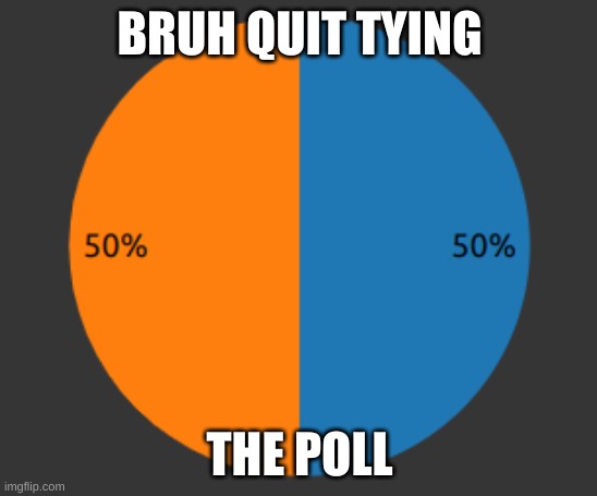 BRUH QUIT TYING; THE POLL | made w/ Imgflip meme maker