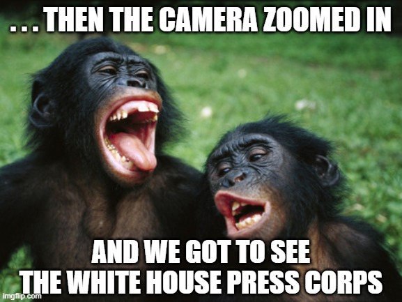 Then the camera zoomed in | . . . THEN THE CAMERA ZOOMED IN; AND WE GOT TO SEE THE WHITE HOUSE PRESS CORPS | image tagged in camera zoom,white house,press corps | made w/ Imgflip meme maker
