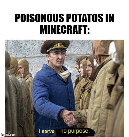 i serve no purpose | POISONOUS POTATOS IN MINECRAFT: | image tagged in i serve no purpose | made w/ Imgflip meme maker