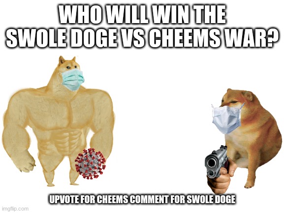 cheems vs buff doge | WHO WILL WIN THE SWOLE DOGE VS CHEEMS WAR? UPVOTE FOR CHEEMS COMMENT FOR SWOLE DOGE | image tagged in blank white template,coronavirus,buff doge vs cheems | made w/ Imgflip meme maker