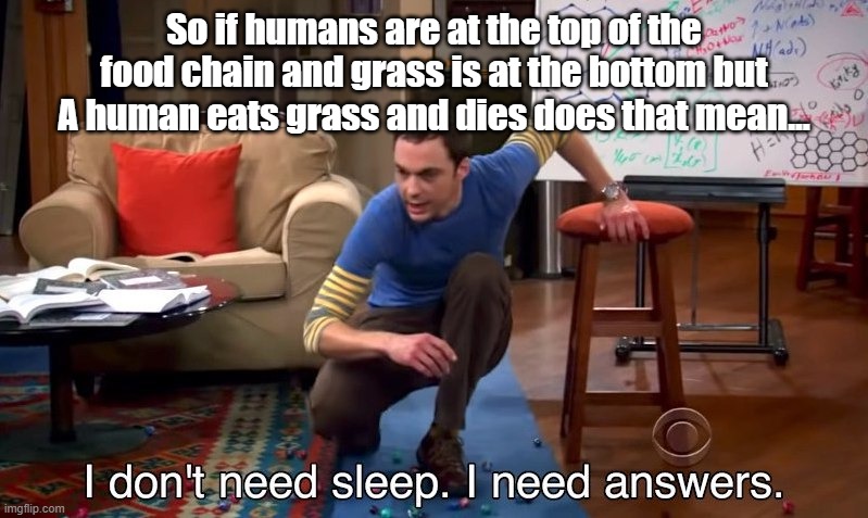 Is this actually true tho | So if humans are at the top of the food chain and grass is at the bottom but A human eats grass and dies does that mean... | image tagged in i don't need sleep i need answers | made w/ Imgflip meme maker