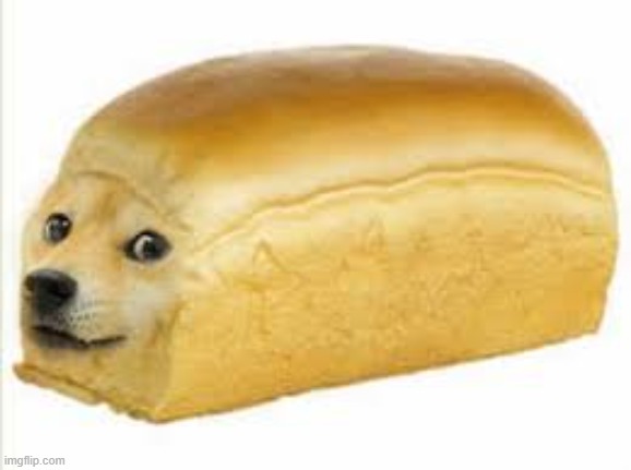 Doge bread | image tagged in doge bread | made w/ Imgflip meme maker