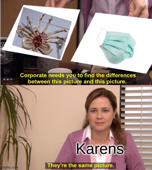 mask hugger | Karens | image tagged in they're the same picture,memes | made w/ Imgflip meme maker