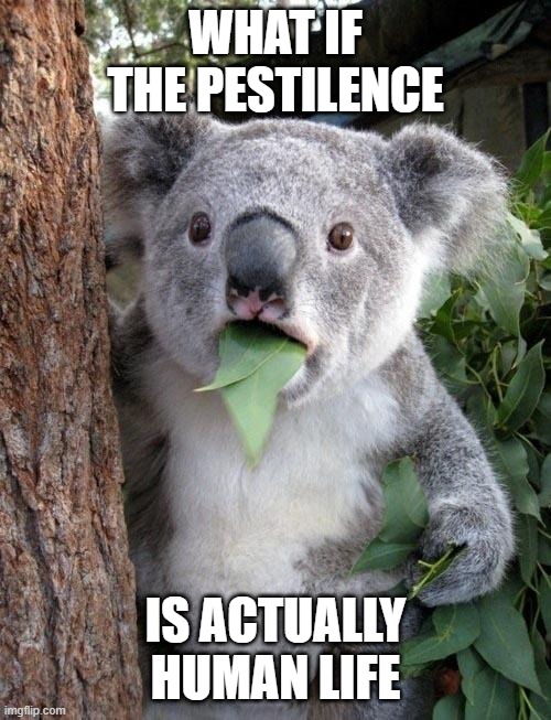 Suprised Koala | WHAT IF THE PESTILENCE; IS ACTUALLY HUMAN LIFE | image tagged in suprised koala | made w/ Imgflip meme maker