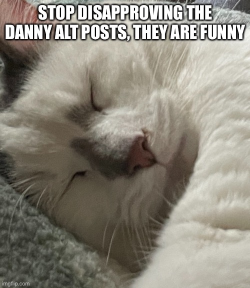 STOP DISAPPROVING THE DANNY ALT POSTS, THEY ARE FUNNY | made w/ Imgflip meme maker