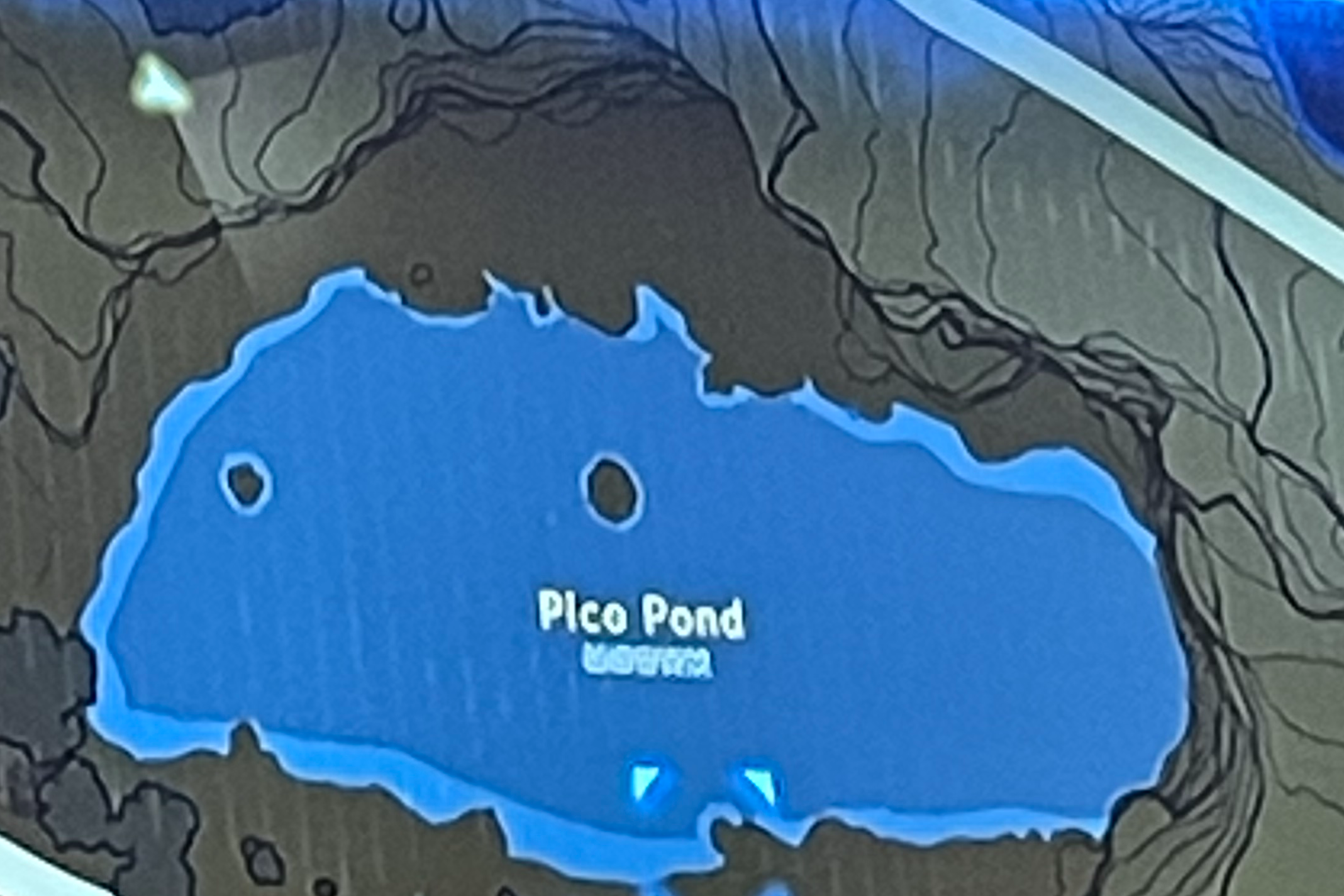 Pico pond Blank Meme Template