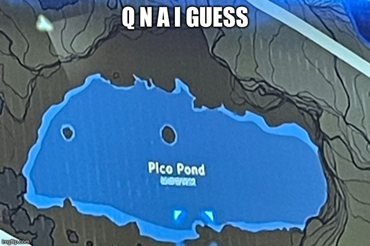 Pico pond | Q N A I GUESS | image tagged in pico pond | made w/ Imgflip meme maker