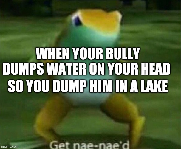 Get nae-nae'd | WHEN YOUR BULLY DUMPS WATER ON YOUR HEAD; SO YOU DUMP HIM IN A LAKE | image tagged in get nae-nae'd | made w/ Imgflip meme maker