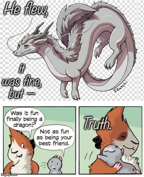 Metamorphosis | He flew, it was fine, but --; Truth. | image tagged in hamster,guinea pig,rodents,dragon | made w/ Imgflip meme maker