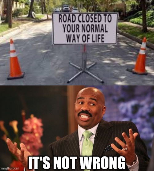 Because Life Is Too Unpredictable | IT'S NOT WRONG | image tagged in memes,steve harvey | made w/ Imgflip meme maker