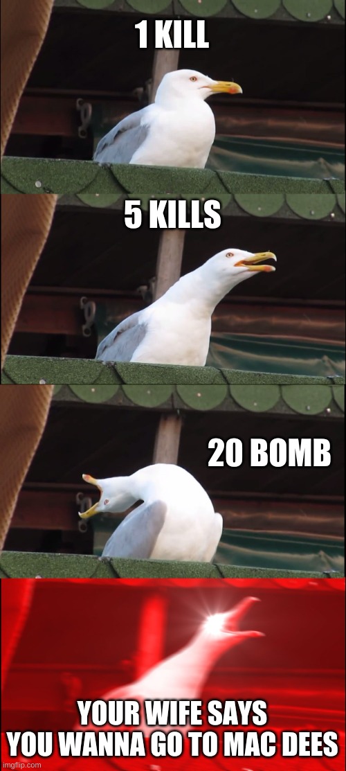 Inhaling Seagull | 1 KILL; 5 KILLS; 20 BOMB; YOUR WIFE SAYS YOU WANNA GO TO MAC DEES | image tagged in memes,inhaling seagull | made w/ Imgflip meme maker