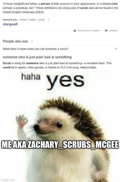 Also, I'll be returning this sunday | ME AKA ZACHARY_SCRUBS_MCGEE | image tagged in haha yes | made w/ Imgflip meme maker