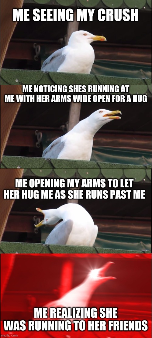 Inhaling Seagull Meme | ME SEEING MY CRUSH; ME NOTICING SHES RUNNING AT ME WITH HER ARMS WIDE OPEN FOR A HUG; ME OPENING MY ARMS TO LET HER HUG ME AS SHE RUNS PAST ME; ME REALIZING SHE WAS RUNNING TO HER FRIENDS | image tagged in memes,inhaling seagull | made w/ Imgflip meme maker