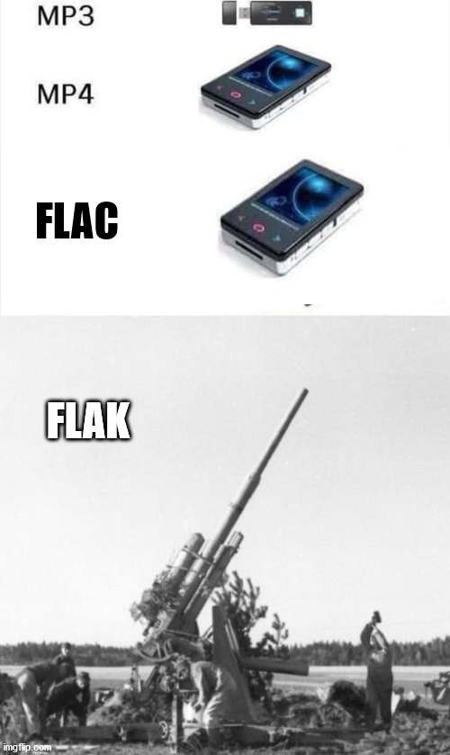 FLAC FLAK | image tagged in mp3 mp4 mp5 | made w/ Imgflip meme maker